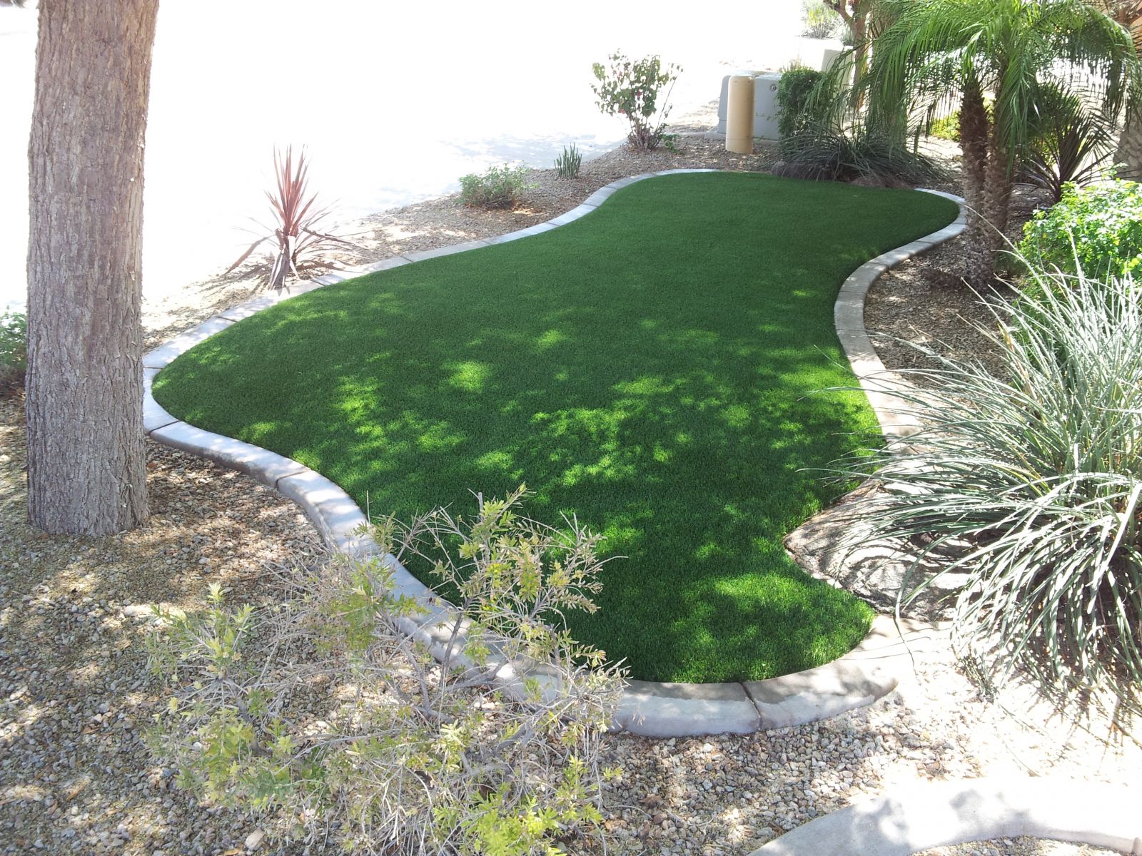 Gilbert Artificial Grass Installation With Luxury Turf