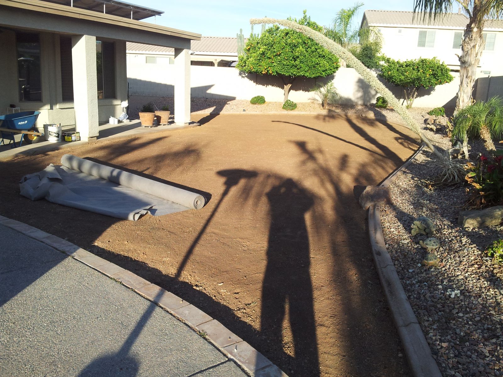 Where To Get A Premium Artificial Turf Installation in Queen Creek?