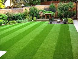Keep the Family Safe With Chandler Artificial Grass